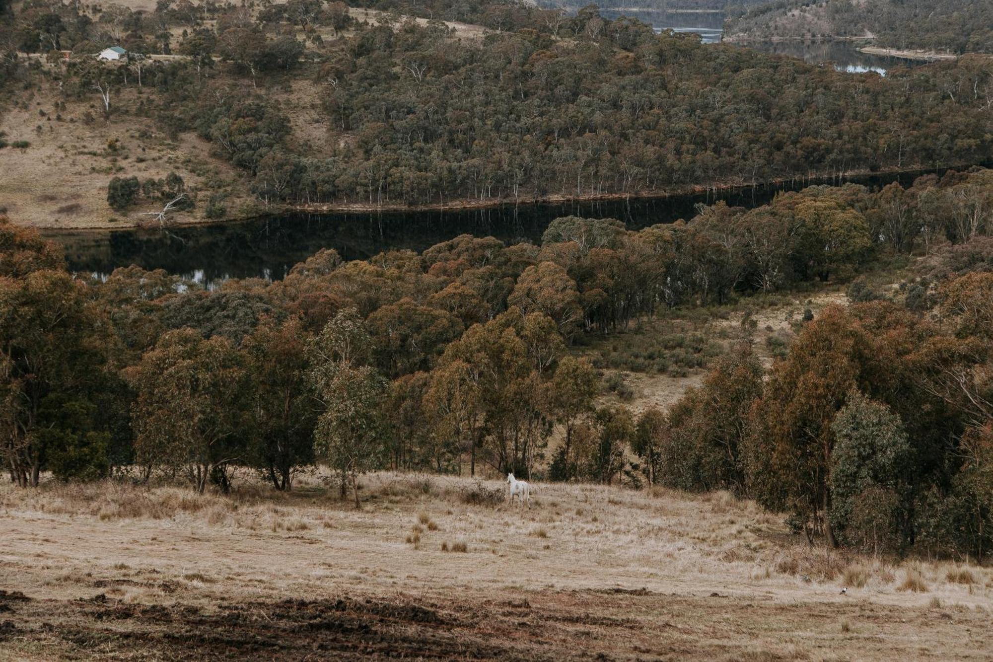 מלון Rydal Eagle View Escape מראה חיצוני תמונה
